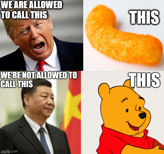 president cheeto vs xi jin pooh | WE ARE ALLOWED TO CALL THIS; THIS | image tagged in winnie the pooh,cheeto,donald trump,xi jinping | made w/ Imgflip meme maker