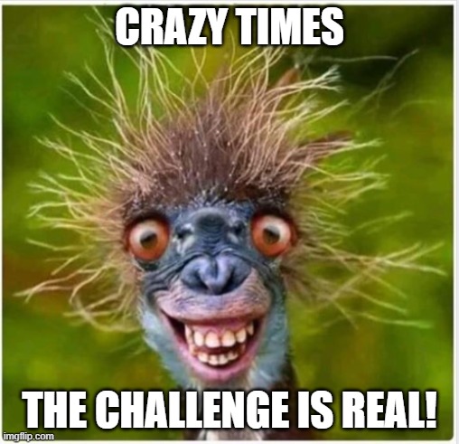 crazy | CRAZY TIMES; THE CHALLENGE IS REAL! | image tagged in okay | made w/ Imgflip meme maker