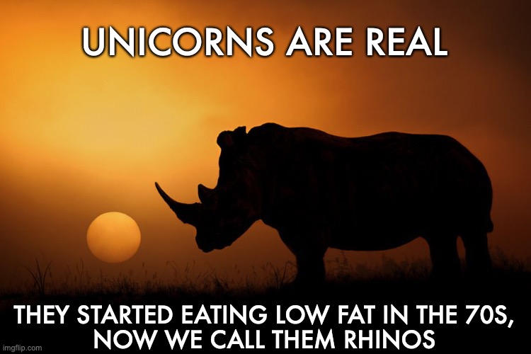 Unicorns are real |  UNICORNS ARE REAL; THEY STARTED EATING LOW FAT IN THE 70S,
NOW WE CALL THEM RHINOS | image tagged in unicorn,rhino,ketosis,keto,nutrition,diet | made w/ Imgflip meme maker