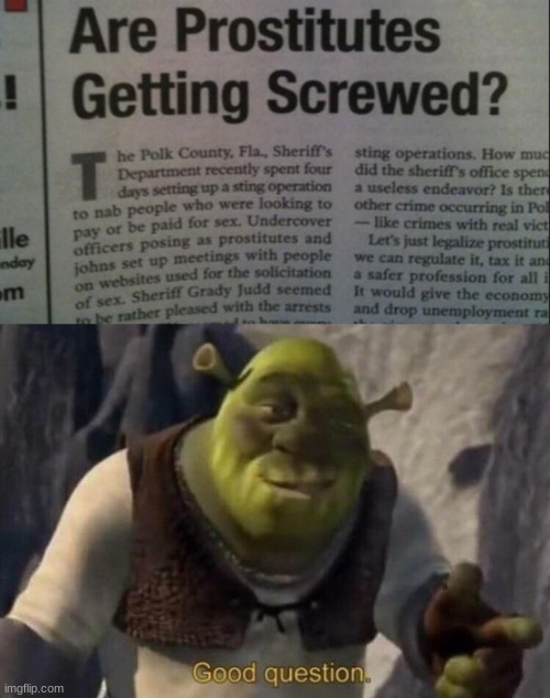 ...I'm not going to dignify that question with an answer | image tagged in shrek good question,memes,prostitute,screwed,you had one job,newspaper | made w/ Imgflip meme maker