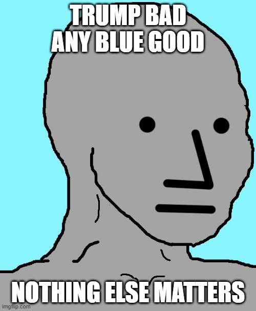 NPC Meme | TRUMP BAD ANY BLUE GOOD; NOTHING ELSE MATTERS | image tagged in memes,npc | made w/ Imgflip meme maker