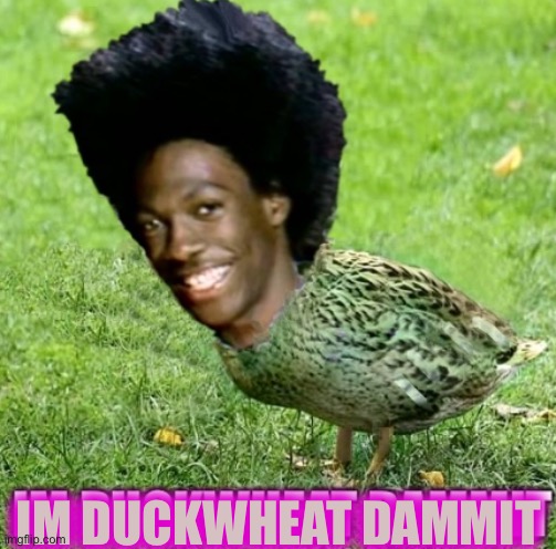 Duck To Da Wheat | IM DUCKWHEAT DAMMIT | image tagged in im duckwheat dammit | made w/ Imgflip meme maker