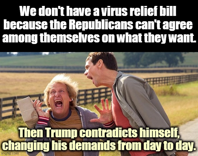 Republicans can't govern. | We don't have a virus relief bill 
because the Republicans can't agree 
among themselves on what they want. Then Trump contradicts himself, changing his demands from day to day. | image tagged in gop,republicans,incompetence,coronavirus,covid-19,trump | made w/ Imgflip meme maker
