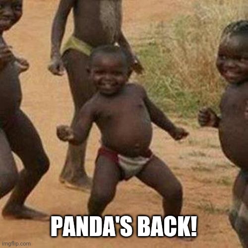 Third World Success Kid | PANDA'S BACK! | image tagged in memes,third world success kid | made w/ Imgflip meme maker