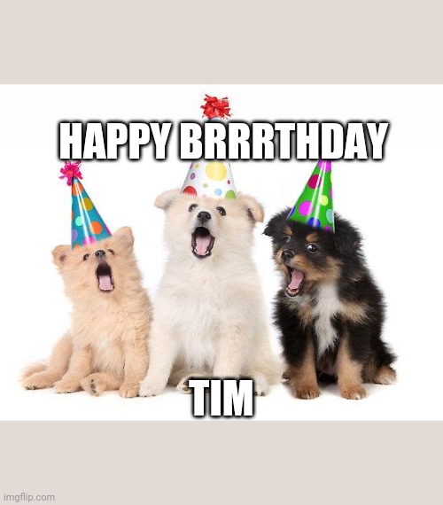 happy birthday puppies | HAPPY BRRRTHDAY; TIM | image tagged in happy birthday puppies | made w/ Imgflip meme maker
