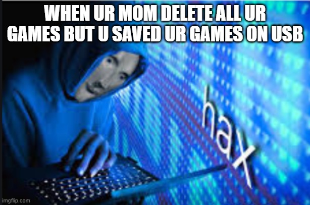 Hax | WHEN UR MOM DELETE ALL UR GAMES BUT U SAVED UR GAMES ON USB | image tagged in hax | made w/ Imgflip meme maker