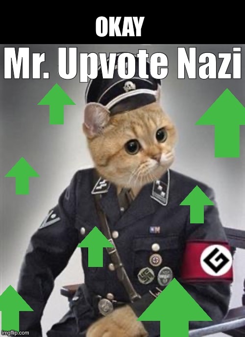 Mr. Upvote Nazi | OKAY | image tagged in mr upvote nazi | made w/ Imgflip meme maker