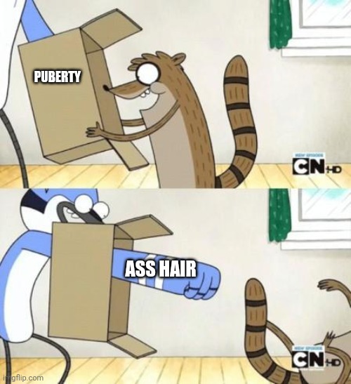Mordecai Punches Rigby Through a Box | PUBERTY; ASS HAIR | image tagged in mordecai punches rigby through a box | made w/ Imgflip meme maker