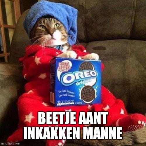 Inkakkat | BEETJE AANT INKAKKEN MANNE | image tagged in chillin cate | made w/ Imgflip meme maker