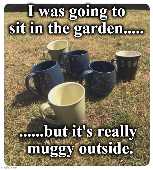 mugs | I was going to sit in the garden..... ......but it's really
 muggy outside. | image tagged in mugs | made w/ Imgflip meme maker