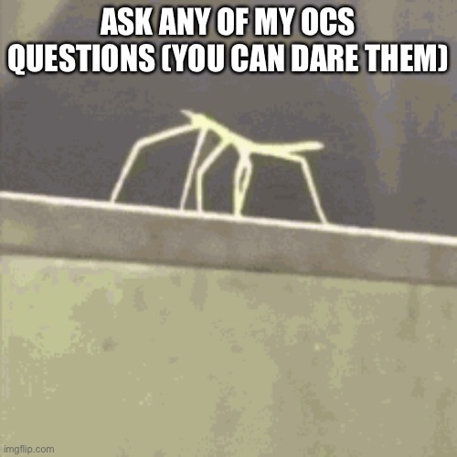 E | ASK ANY OF MY OCS QUESTIONS (YOU CAN DARE THEM) | made w/ Imgflip meme maker