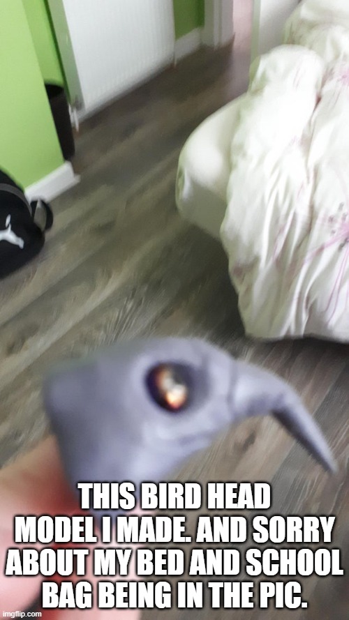 I did make this actually, sorry if it's blurry. | THIS BIRD HEAD MODEL I MADE. AND SORRY ABOUT MY BED AND SCHOOL BAG BEING IN THE PIC. | made w/ Imgflip meme maker