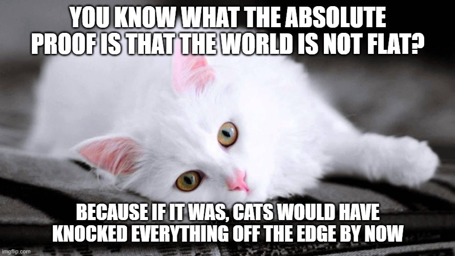 YOU KNOW WHAT THE ABSOLUTE PROOF IS THAT THE WORLD IS NOT FLAT? BECAUSE IF IT WAS, CATS WOULD HAVE KNOCKED EVERYTHING OFF THE EDGE BY NOW | image tagged in funny,cats,drop,knock,cute cat,wise | made w/ Imgflip meme maker