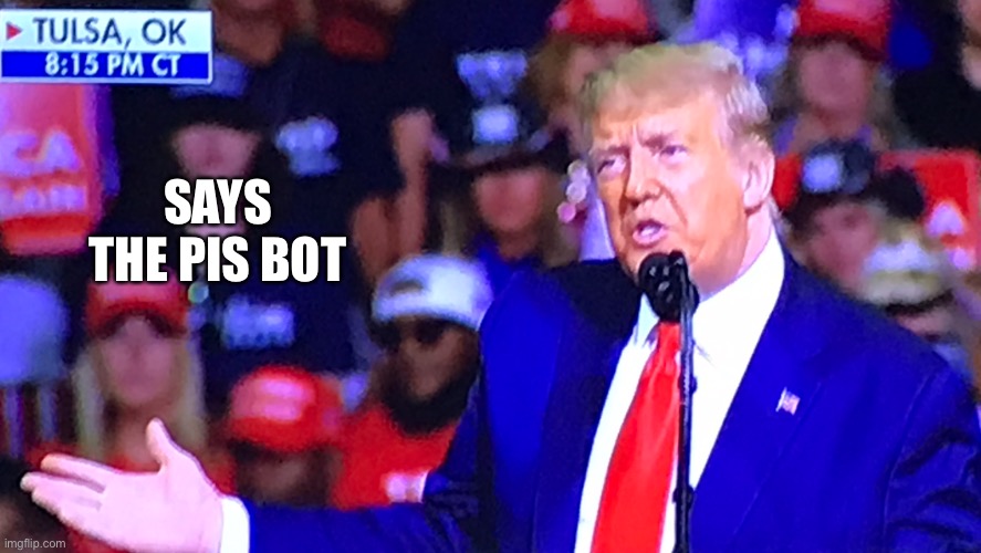 Trump wtf | SAYS THE PIS BOT | image tagged in trump wtf | made w/ Imgflip meme maker