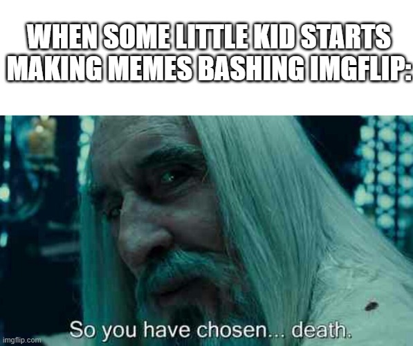 So you have chosen death | WHEN SOME LITTLE KID STARTS MAKING MEMES BASHING IMGFLIP: | image tagged in so you have chosen death | made w/ Imgflip meme maker