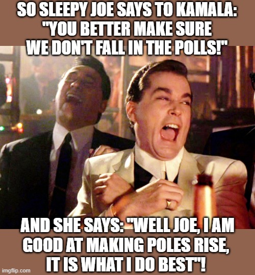 goodfellows on Dems | SO SLEEPY JOE SAYS TO KAMALA:
"YOU BETTER MAKE SURE WE DON'T FALL IN THE POLLS!"; AND SHE SAYS: "WELL JOE, I AM
GOOD AT MAKING POLES RISE, 
IT IS WHAT I DO BEST"! | image tagged in political meme,goodfellas laughing,ray liotta goodfellas,joe biden,kamala harris,polls | made w/ Imgflip meme maker