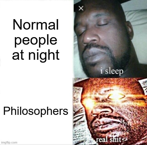 Too Many Thoughts... | Normal people at night; Philosophers | image tagged in memes,sleeping shaq | made w/ Imgflip meme maker