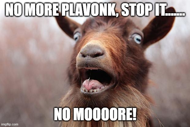 GoatScream2014 | NO MORE PLAVONK, STOP IT....... NO MOOOORE! | image tagged in goatscream2014 | made w/ Imgflip meme maker