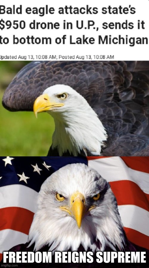 freeing the drone from the evil humans | FREEDOM REIGNS SUPREME | image tagged in memes,patriotic eagle,funny,upvote if you agree | made w/ Imgflip meme maker