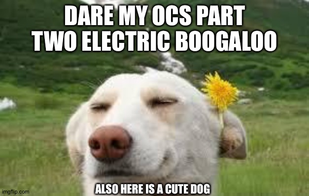 Dare any of my OCs part two | DARE MY OCS PART TWO ELECTRIC BOOGALOO; ALSO HERE IS A CUTE DOG | image tagged in happy dog flower | made w/ Imgflip meme maker