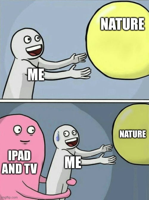 ? | NATURE; ME; NATURE; IPAD AND TV; ME | image tagged in memes,running away balloon | made w/ Imgflip meme maker