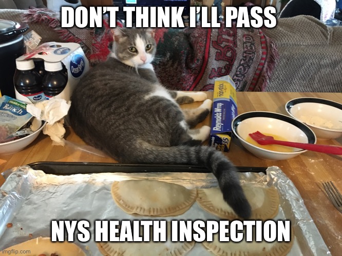 Don’t think I’ll pass NYS health inspection | DON’T THINK I’LL PASS; NYS HEALTH INSPECTION | image tagged in cat,cooking,help | made w/ Imgflip meme maker