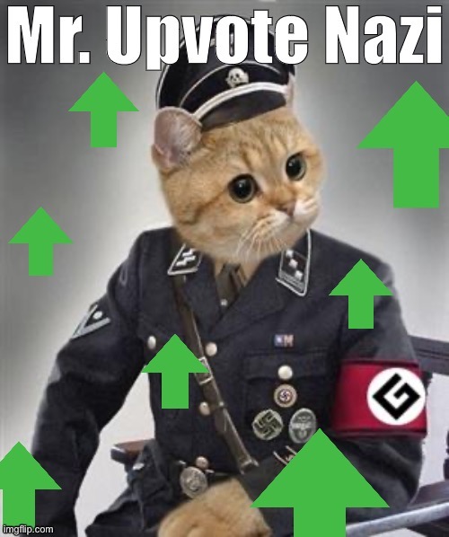 Mr. Upvote Nazi | image tagged in mr upvote nazi | made w/ Imgflip meme maker