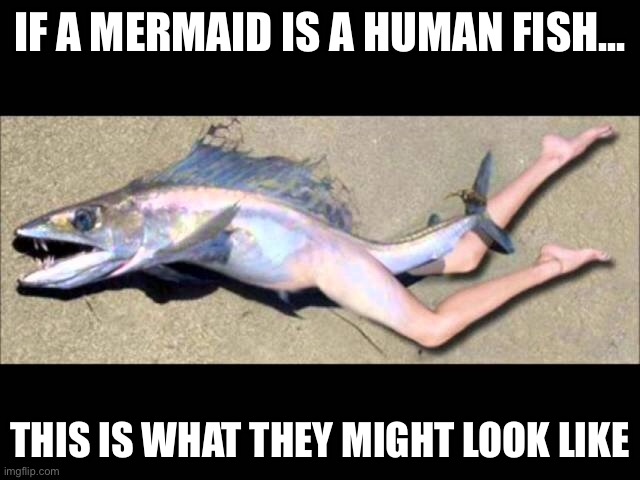 Pretty sure that this is a mermaid | IF A MERMAID IS A HUMAN FISH... THIS IS WHAT THEY MIGHT LOOK LIKE | image tagged in funny | made w/ Imgflip meme maker