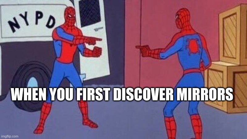 spiderman pointing at spiderman | WHEN YOU FIRST DISCOVER MIRRORS | image tagged in spiderman pointing at spiderman | made w/ Imgflip meme maker