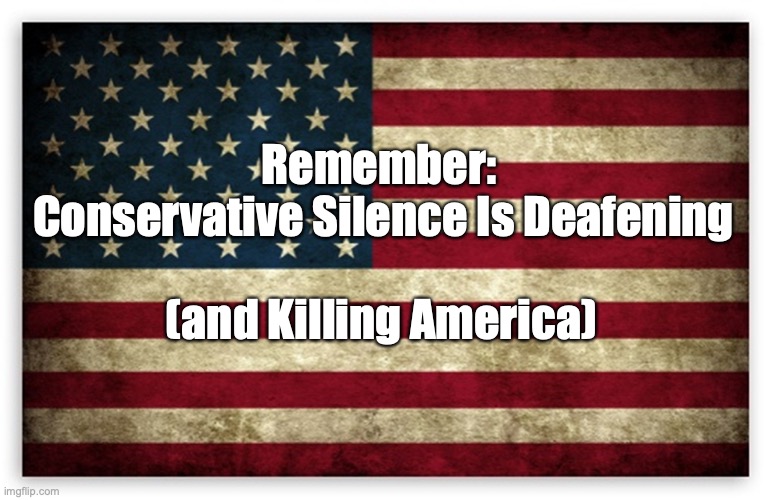 HD US Flag | Remember: 
Conservative Silence Is Deafening; (and Killing America) | image tagged in hd us flag | made w/ Imgflip meme maker