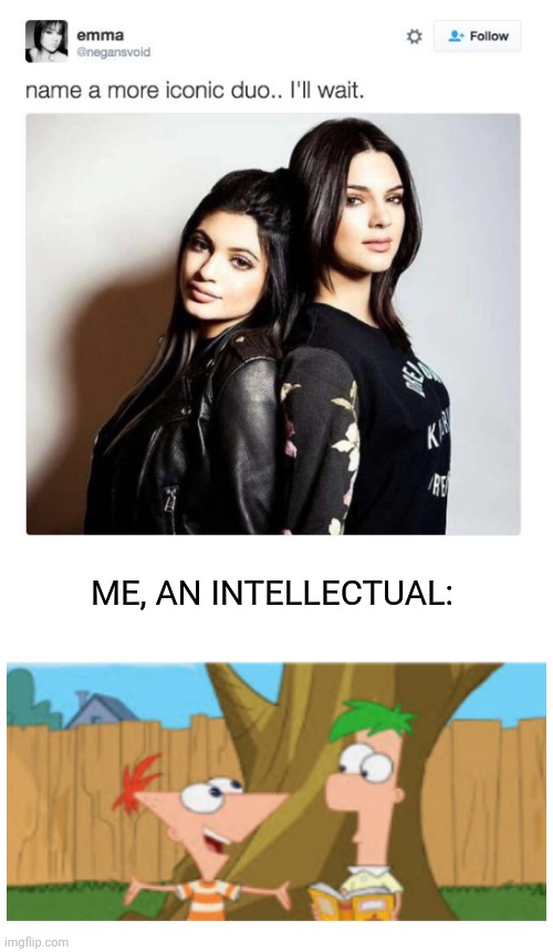 Absolutely iconic | ME, AN INTELLECTUAL: | image tagged in name a more iconic duo,memes,phineas and ferb | made w/ Imgflip meme maker
