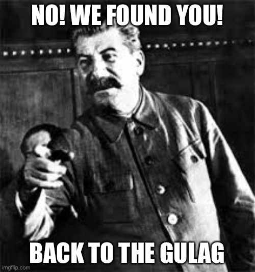 joseph stalin go to gulag | NO! WE FOUND YOU! BACK TO THE GULAG | image tagged in joseph stalin go to gulag | made w/ Imgflip meme maker