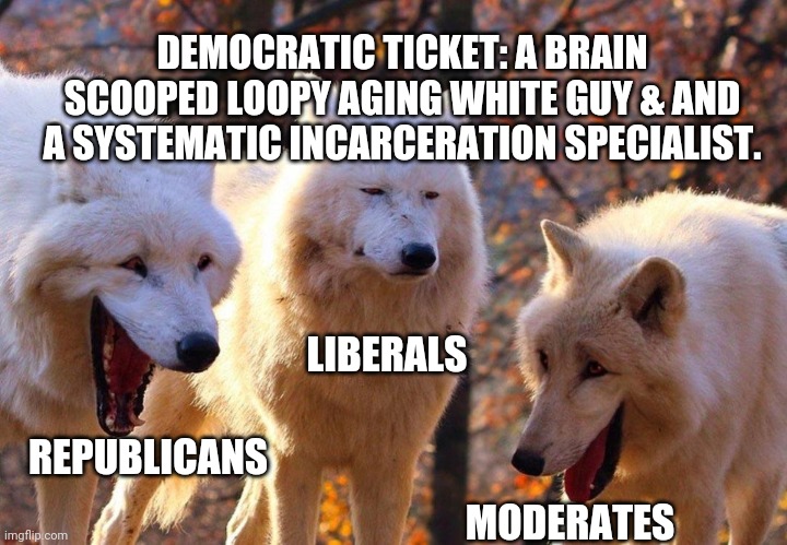 Wolves Get it... | DEMOCRATIC TICKET: A BRAIN SCOOPED LOOPY AGING WHITE GUY & AND A SYSTEMATIC INCARCERATION SPECIALIST. LIBERALS; REPUBLICANS; MODERATES | image tagged in 2/3 wolves laugh | made w/ Imgflip meme maker