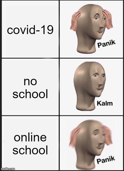 Panik Kalm Panik | covid-19; no school; online school | image tagged in memes,panik kalm panik | made w/ Imgflip meme maker