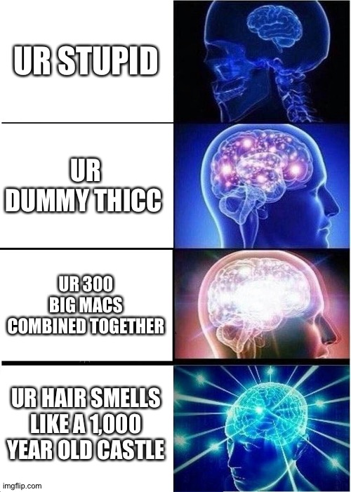 Expanding Brain Meme | UR STUPID; UR DUMMY THICC; UR 300 BIG MACS COMBINED TOGETHER; UR HAIR SMELLS LIKE A 1,000 YEAR OLD CASTLE | image tagged in memes,expanding brain | made w/ Imgflip meme maker