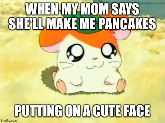 Hamtaro Meme | WHEN MY MOM SAYS SHE'LL MAKE ME PANCAKES; PUTTING ON A CUTE FACE | image tagged in memes,hamtaro | made w/ Imgflip meme maker