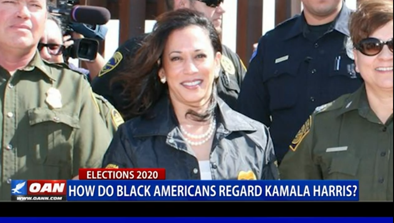 Kamala 2020 'cuz BLM Blank Meme Template