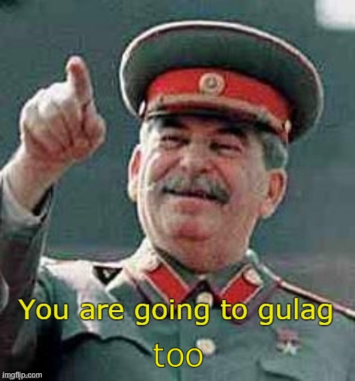 you are going to gulag | too | image tagged in you are going to gulag | made w/ Imgflip meme maker