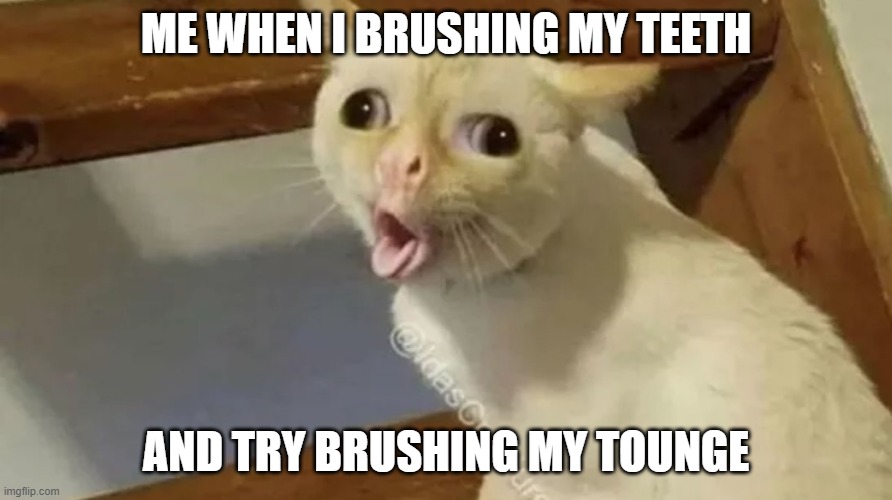 BRUSHING TONGUE BE LIKE | ME WHEN I BRUSHING MY TEETH; AND TRY BRUSHING MY TOUNGE | image tagged in funny,meme,relatable memes,new memes,kid friendly | made w/ Imgflip meme maker