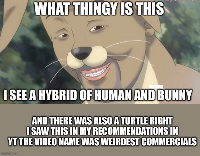 Weird anime hentai furry | WHAT THINGY IS THIS; I SEE A HYBRID OF HUMAN AND BUNNY; AND THERE WAS ALSO A TURTLE RIGHT I SAW THIS IN MY RECOMMENDATIONS IN YT THE VIDEO NAME WAS WEIRDEST COMMERCIALS | image tagged in weird anime hentai furry | made w/ Imgflip meme maker