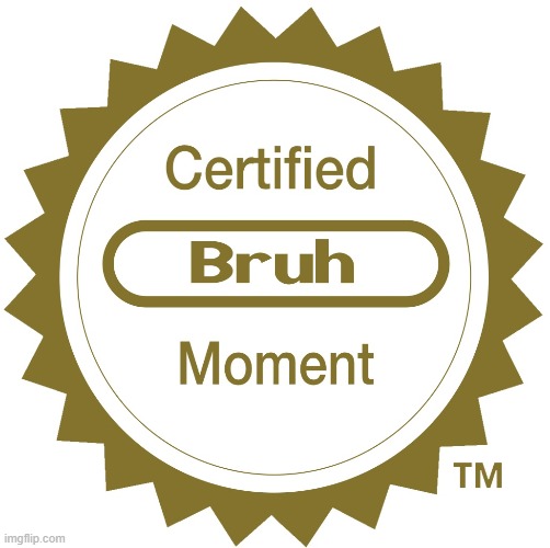 Certified bruh moment | image tagged in certified bruh moment | made w/ Imgflip meme maker