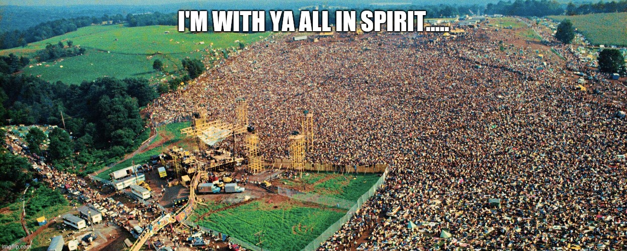 Woodstock | I'M WITH YA ALL IN SPIRIT..... | image tagged in woodstock | made w/ Imgflip meme maker