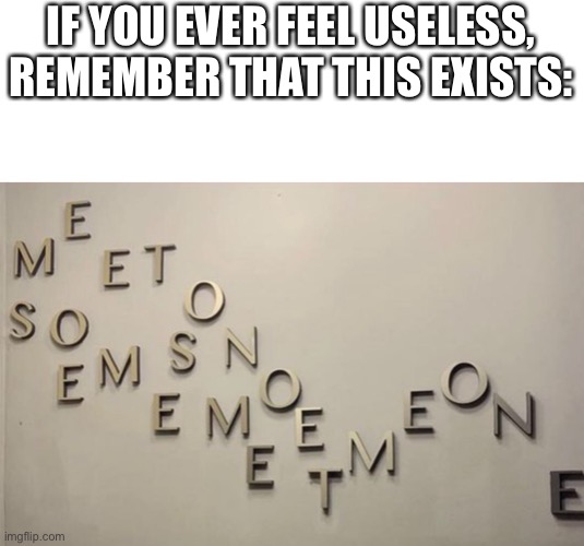 IF YOU EVER FEEL USELESS, REMEMBER THAT THIS EXISTS: | made w/ Imgflip meme maker