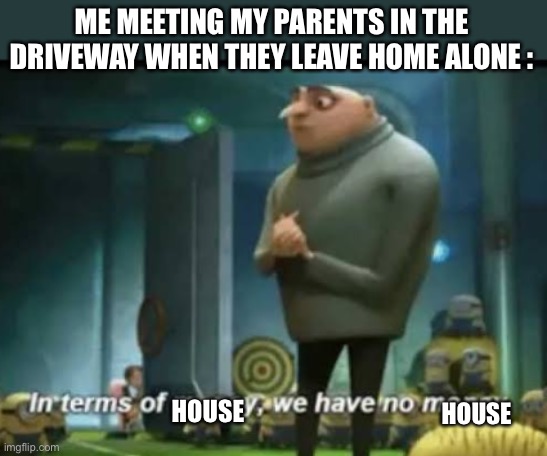 In terms of money | ME MEETING MY PARENTS IN THE DRIVEWAY WHEN THEY LEAVE HOME ALONE :; HOUSE; HOUSE | image tagged in in terms of money,memes,burn it down,home alone | made w/ Imgflip meme maker