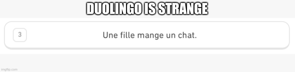 DUOLINGO IS STRANGE | made w/ Imgflip meme maker