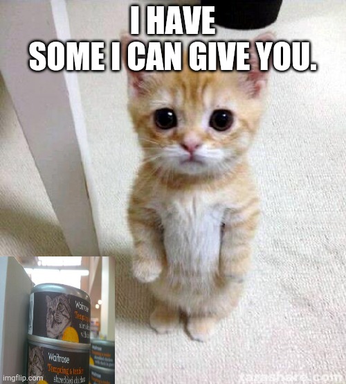 Cute Cat Meme | I HAVE
SOME I CAN GIVE YOU. | image tagged in memes,cute cat | made w/ Imgflip meme maker