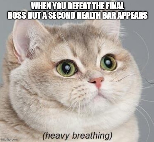 Heavy Breathing Cat | WHEN YOU DEFEAT THE FINAL BOSS BUT A SECOND HEALTH BAR APPEARS | image tagged in memes,heavy breathing cat | made w/ Imgflip meme maker