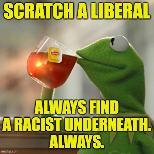 But That's None Of My Business Meme | SCRATCH A LIBERAL ALWAYS FIND A RACIST UNDERNEATH.
ALWAYS. | image tagged in memes,but that's none of my business,kermit the frog | made w/ Imgflip meme maker