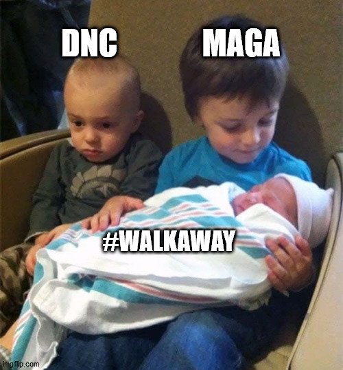 #walkaway | DNC              MAGA; #WALKAWAY | image tagged in dnc,maga,ConservativeMemes | made w/ Imgflip meme maker