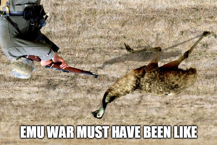 emu war |  EMU WAR MUST HAVE BEEN LIKE | image tagged in communist memes | made w/ Imgflip meme maker